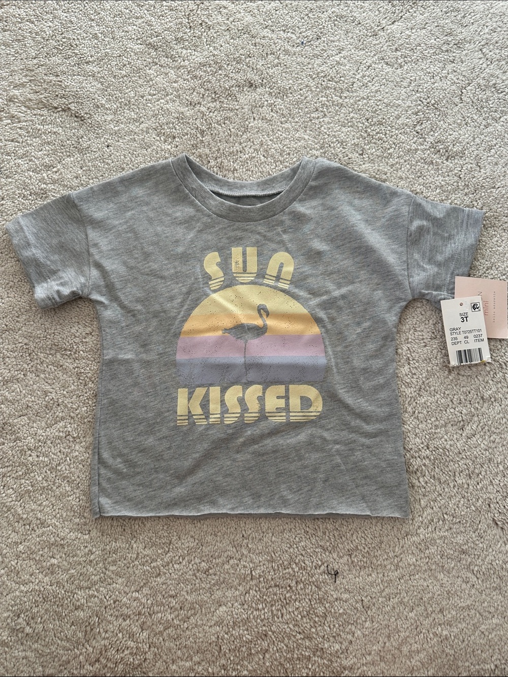 Sun Kissed Graphic Tee - Gray
